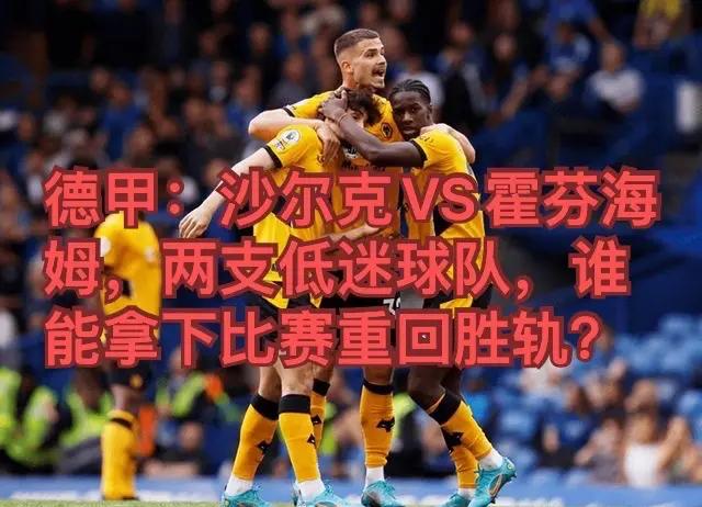 霍芬海姆队备战与弗赖堡的重要对决