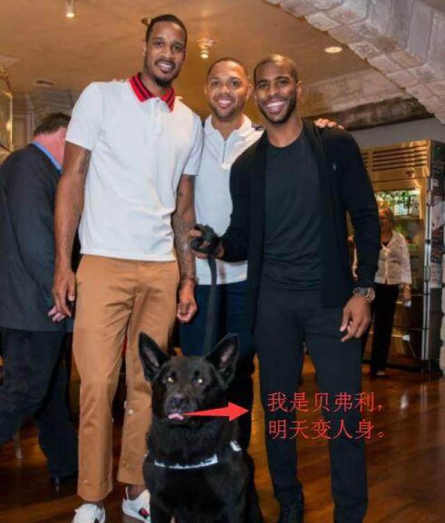 爱游戏网页版登录入口-磨刀霍霍：爵士对火箭的对决备受注目