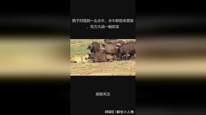 爱游戏官方登录入口-罗马胜负难料，双方实力对比一触即发